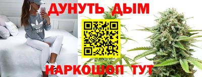 дмт Донецк