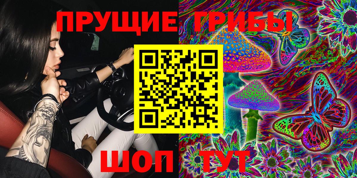 Галлюциногенные грибы Psilocybe Кулебаки
